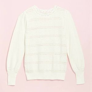 Loft Pointelle Sweater